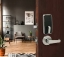 Saffire D